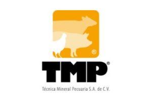 TMP TMP