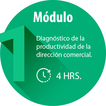 Módulo 1 Módulo 1 Diagnostico de la productividad de la dirección comercial
