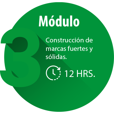 Módulo 3 Construcción de marcas fuertes y sólidas