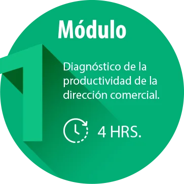 Módulo 1 Módulo 1 Diagnostico de la productividad de la dirección comercial
